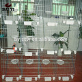 Design 20000 Birds Pigeon Layer Cage